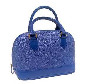 blue stingray bag